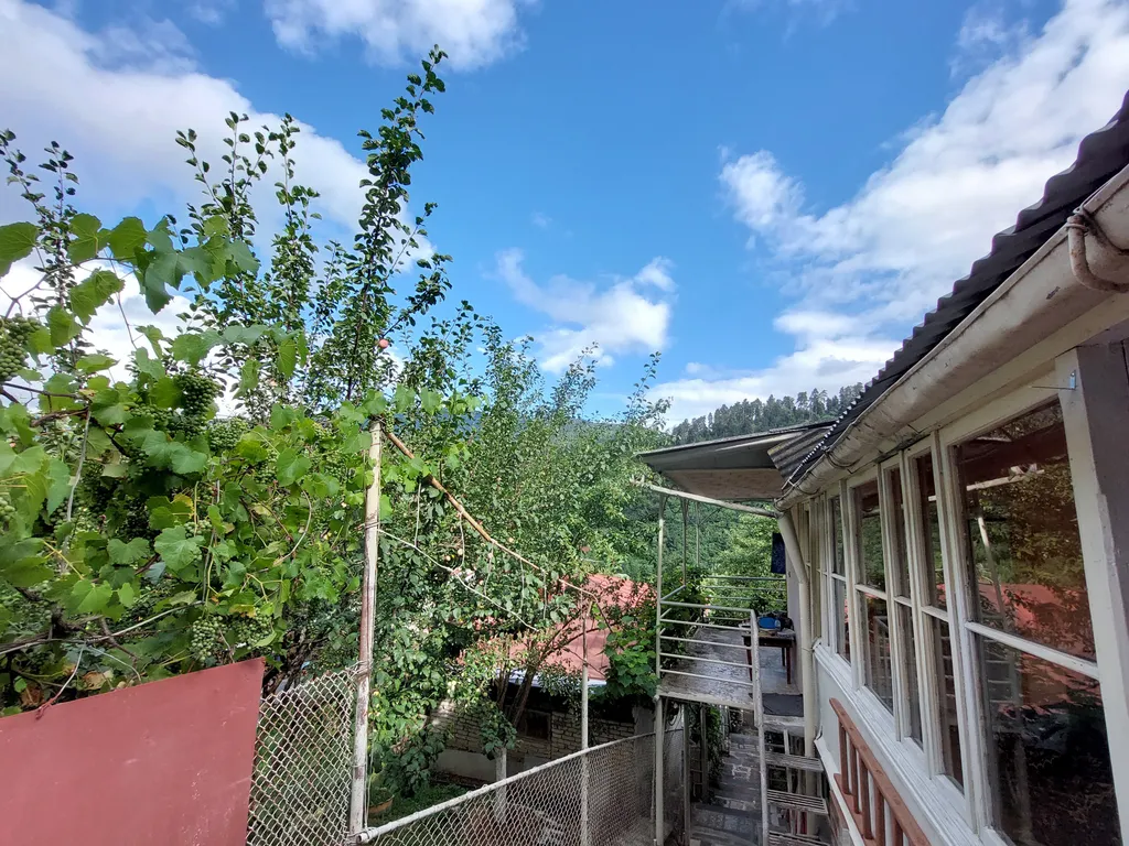 Полноценный номер-студия на границе леса до 4 человек