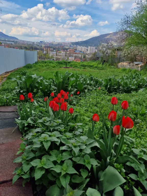 Дом с видом на горы