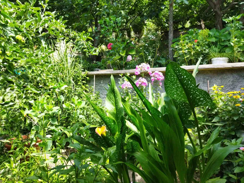 Коттедж Домик в Красном Раю — Изобильное