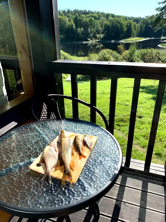 Домик в диком лесу на берегу реки