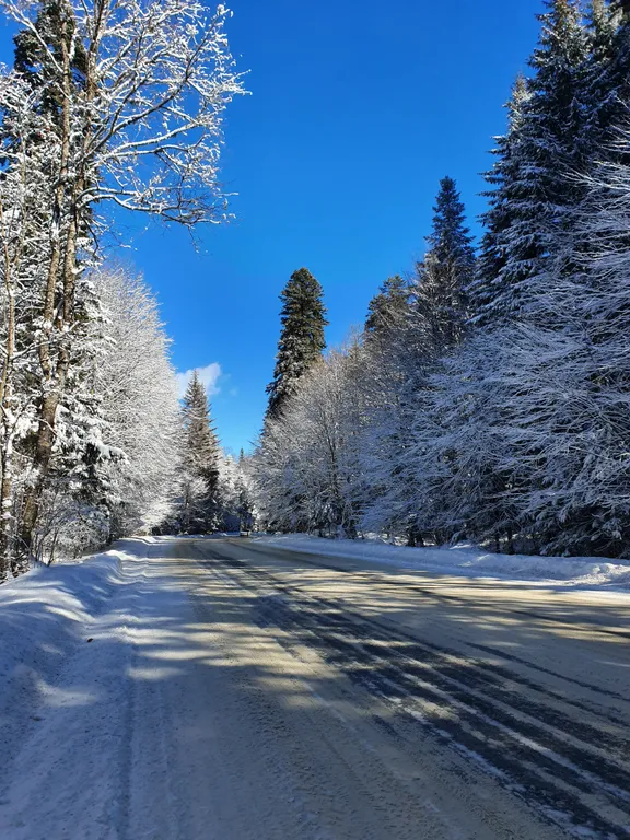 Апартаменты с панорамными видами на горы и лес в центре