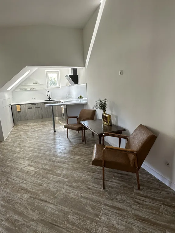 Мансардный этаж частного дома с большой террасой