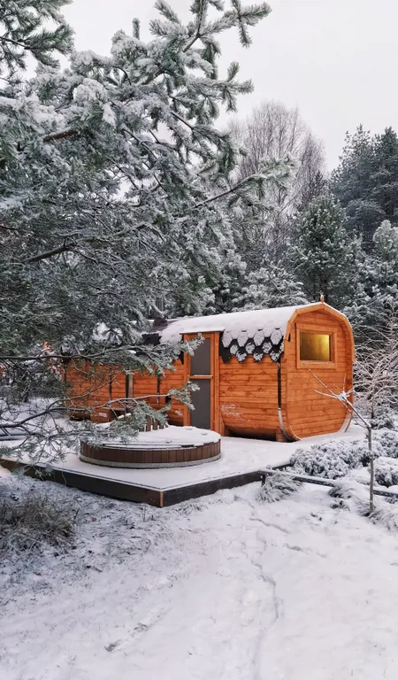 Дом у реки Волма в лесу