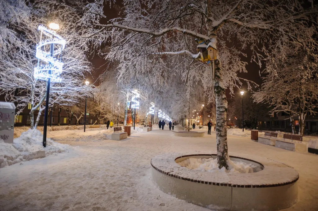 Квартира в центре города