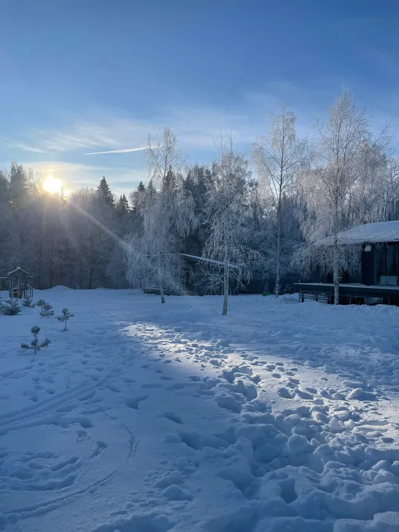 Лисий домик с камином