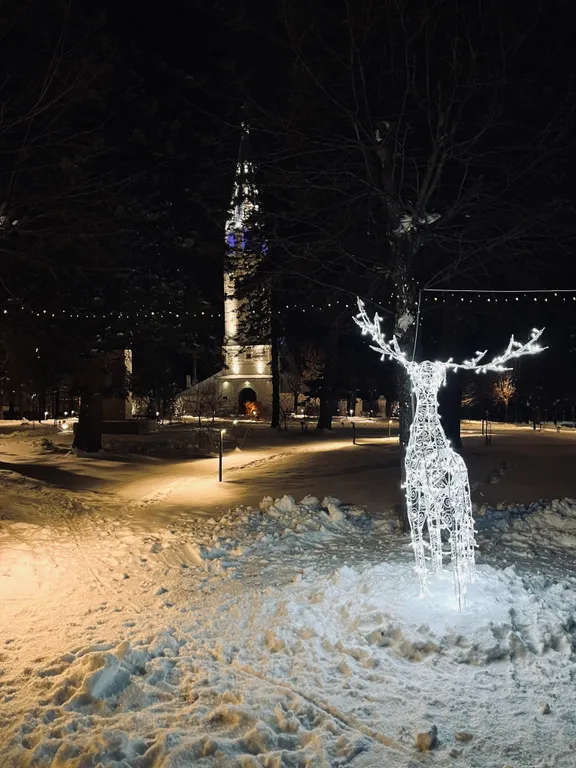 Уютный дом в центре палеха