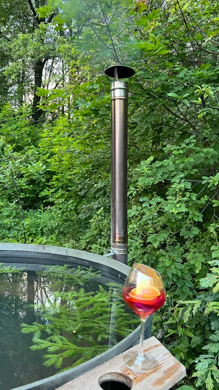 Премиальный дом с дизайнерским камином на дровах в лесу