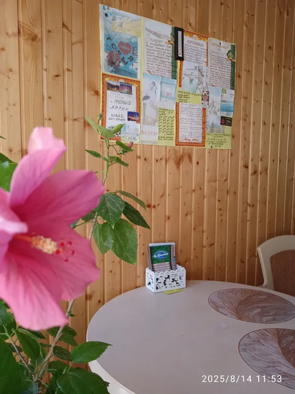 Замечательная студия