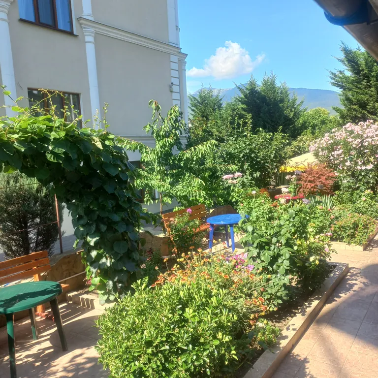 Уютные апартаменты с двориком в центре города