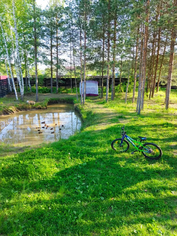 Дом с камином76