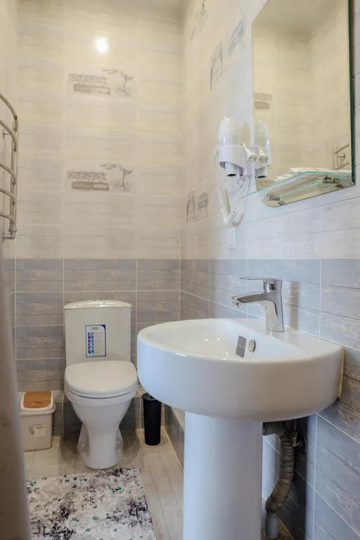 Семейный номер с двуспальной кроватью и раскладным диваном