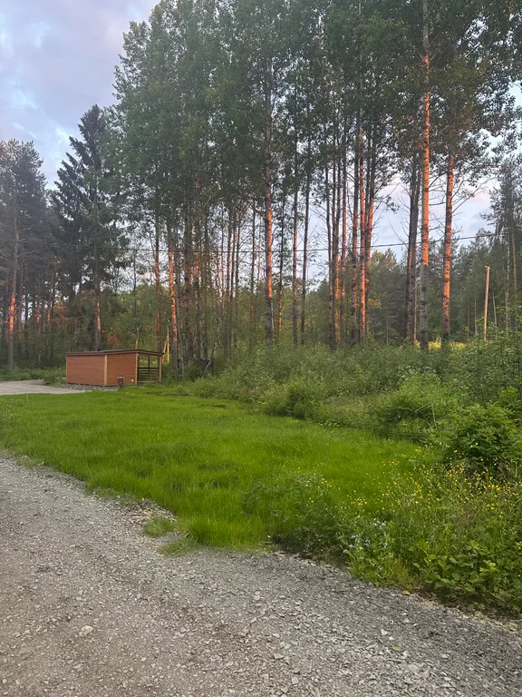 Дом с чаном и панорамными окнами с видом на лес