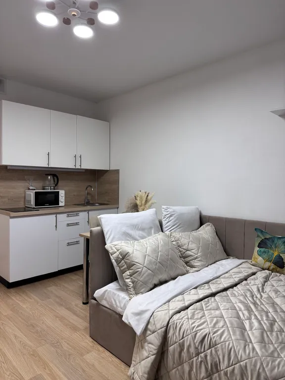 Студия с проектором около аэропорта Внуково