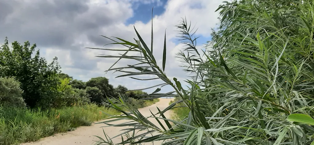 Sunsethouse - апартамент №2 с большой террасой с видом на море