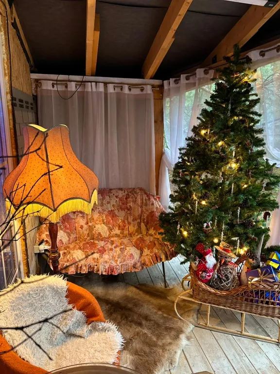 Гостевой фотодом Зазеркалье