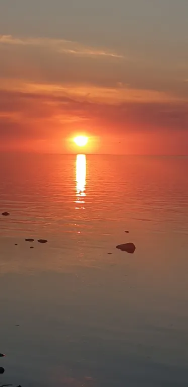 Янтарная долина в 2х комнатах