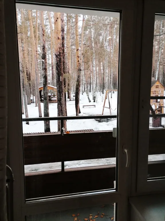 Большие апартаменты у озера Еловое