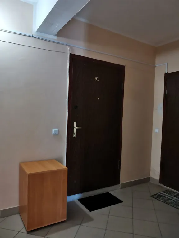 Солнечный Кот