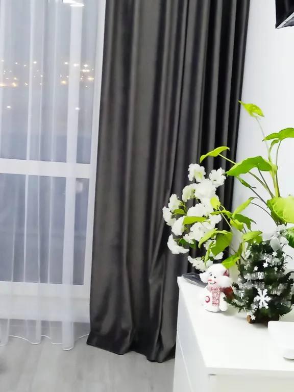 Квартира Уютная квартира с прекрасным видом на ночной мост — Красноярск