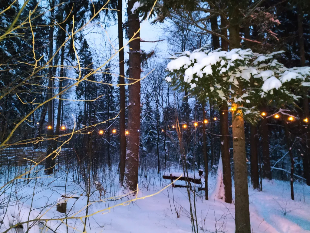 Лесной домик a-frame с террасой на холме, среди высоченных елей и берез