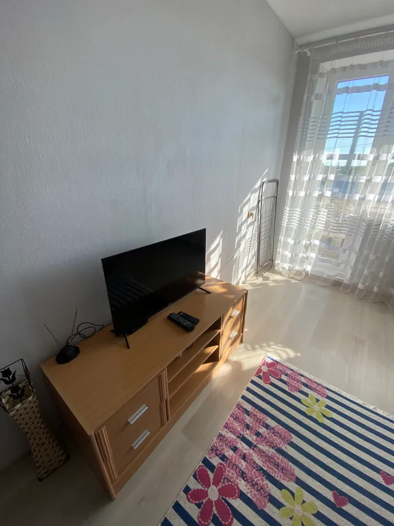 Просторная однокомнатная квартира