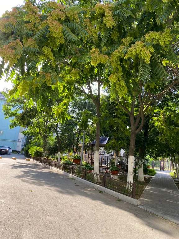 Уютная квартира в центре города Кизилюрт