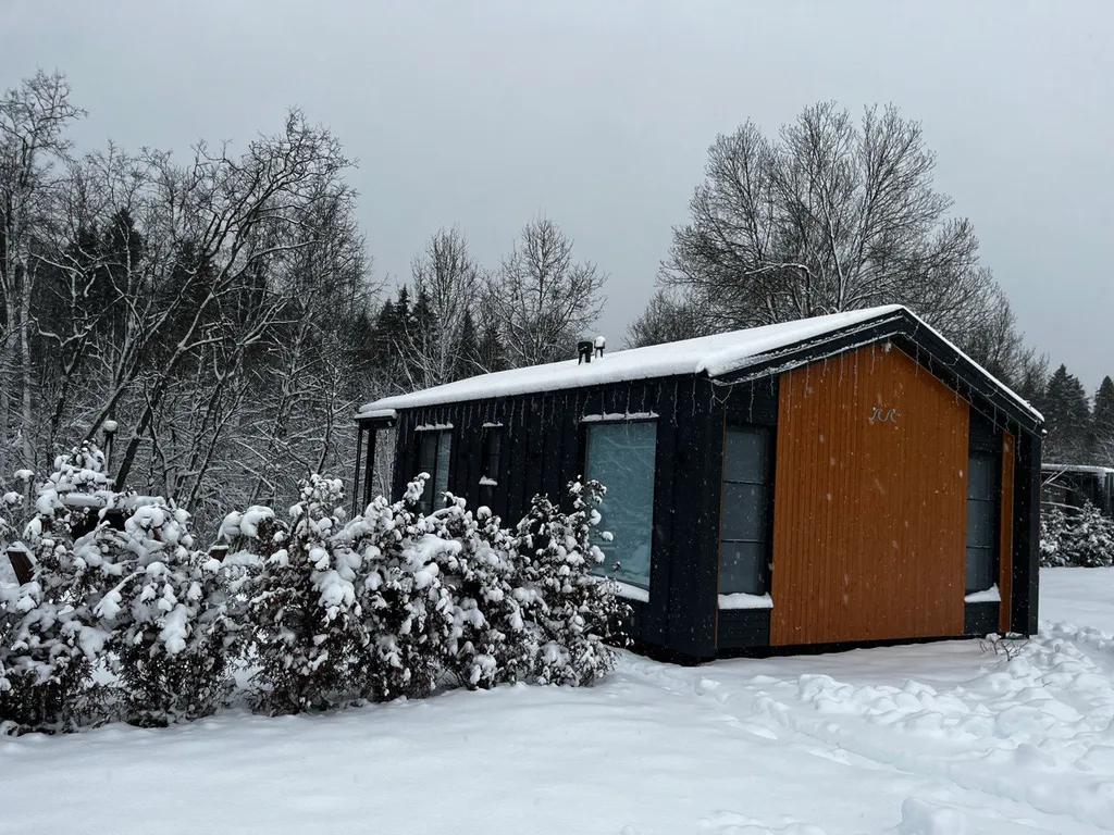 Дизайнерский дом Море в лесу