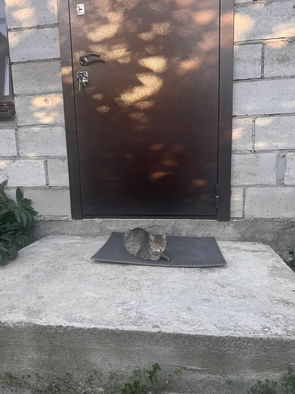 Атмосферный дом