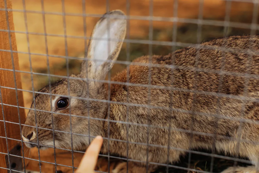 Уютный домик на берегу Волги