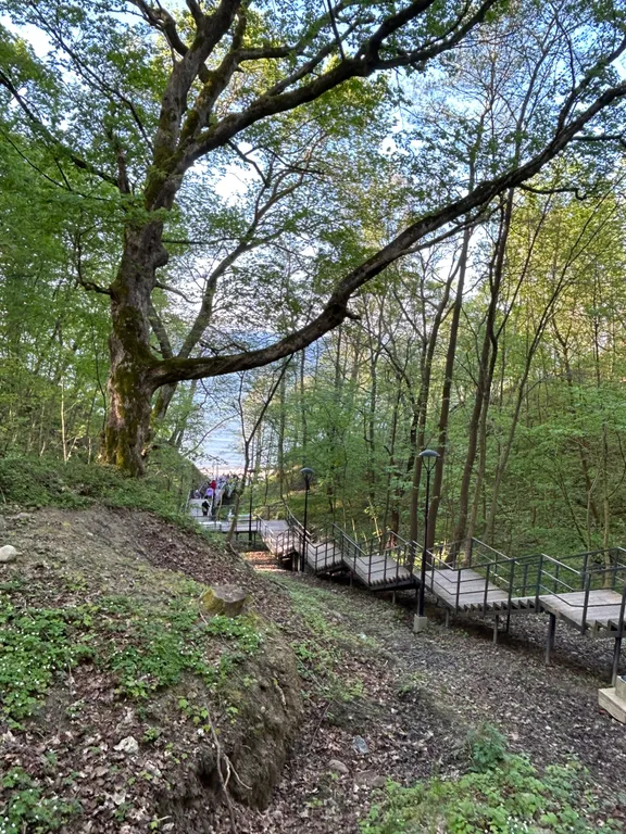 Квартира Апартаменты с видом на парк — Светлогорск