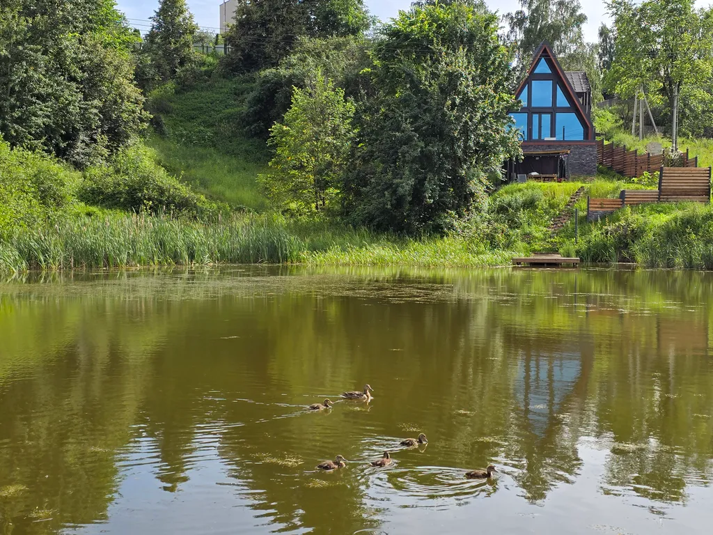 Дом у пруда