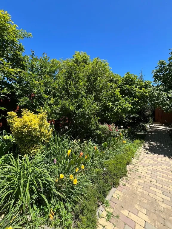 Квартира Комната — Пляхо