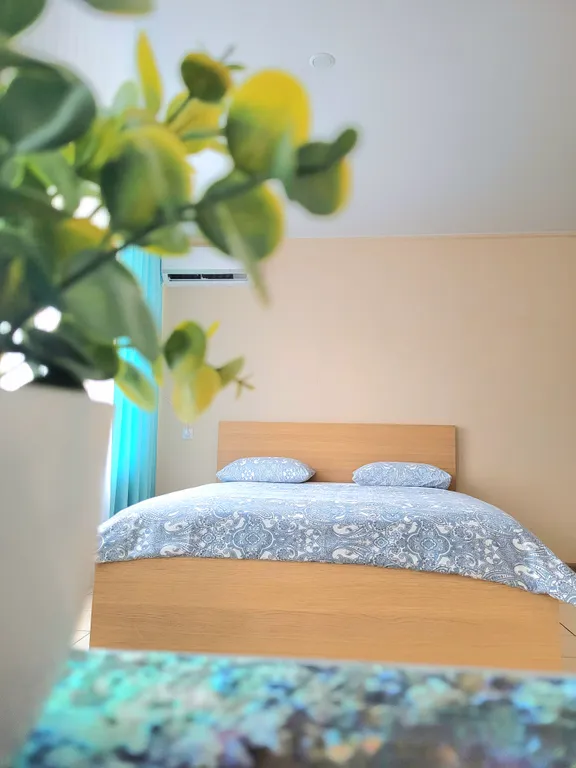 Квартира с кондиционером в 5 минутах от аэропорта Толмачёво