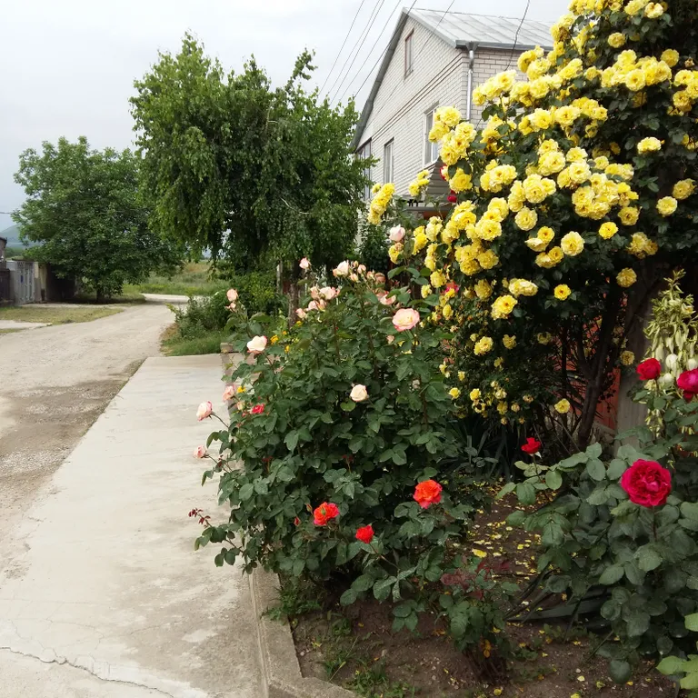 Уютный просторный дом на Крутой