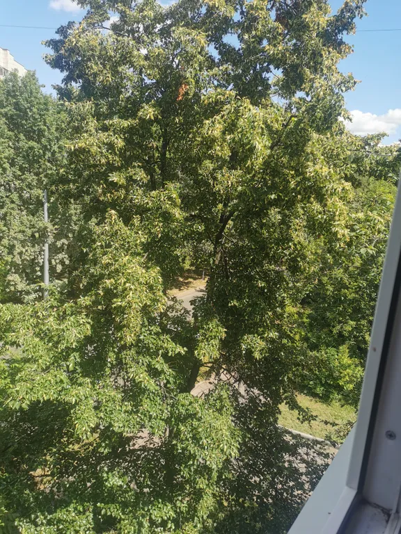 Квартира у метро, новый ремонт и мебель, уютно очень