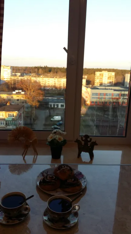 Квартира 1-комнатная Квартира — Луга