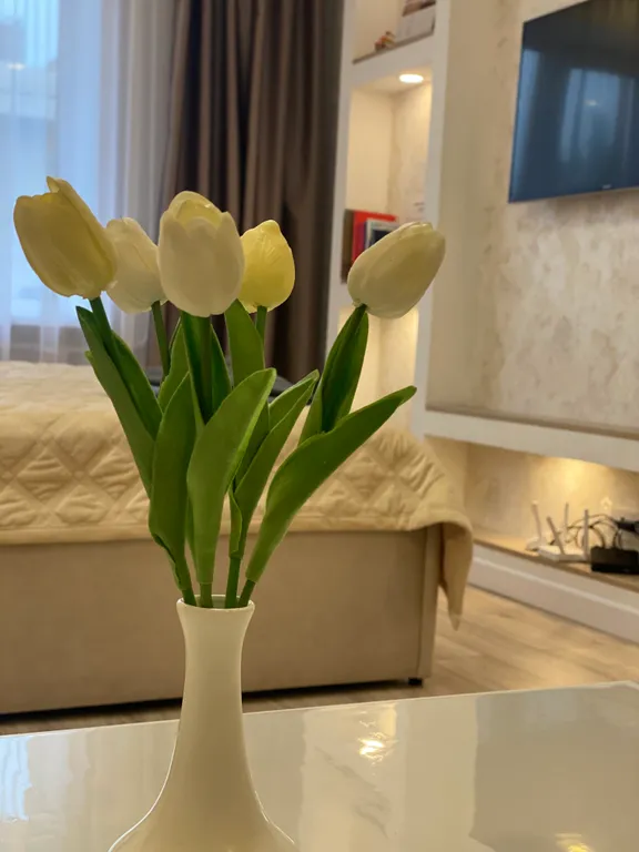 Прекрасная квартира в центре города