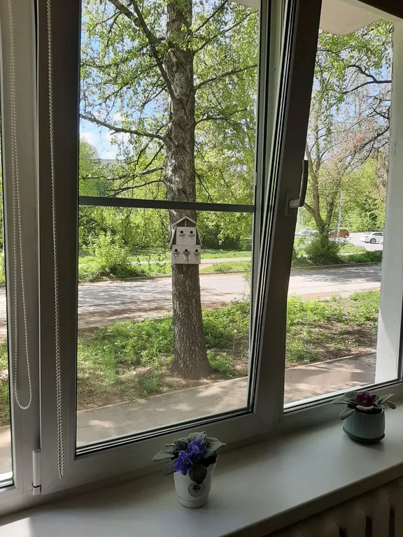 Уютная квартира с прекрасным видом из окна