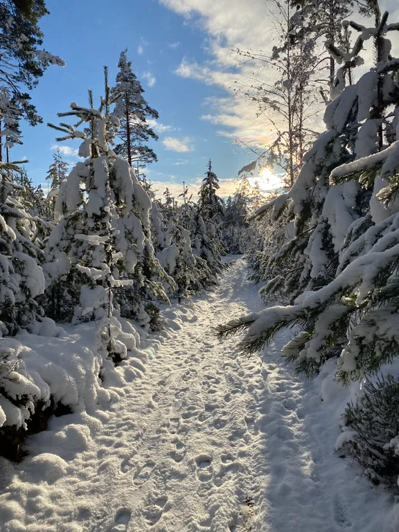 Уютный загородный коттедж недалеко от Игоры