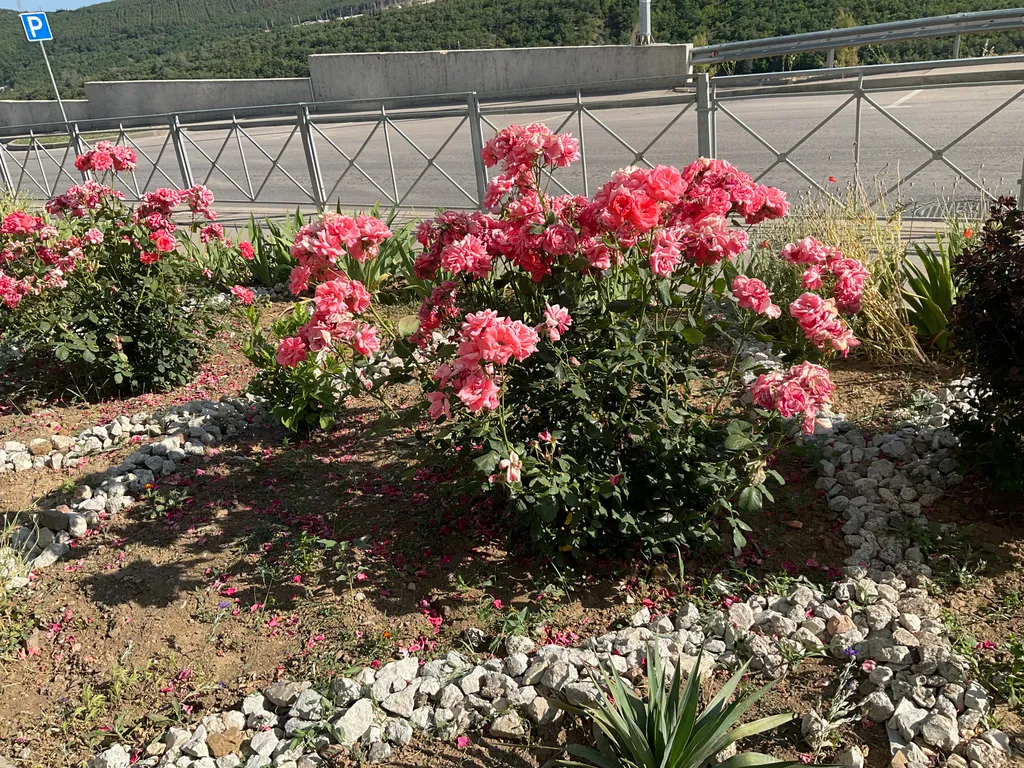 Удобная квартира с видом на море и горы