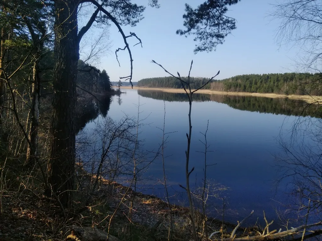 Коттедж Гостевой дом Березово 17 — Березово
