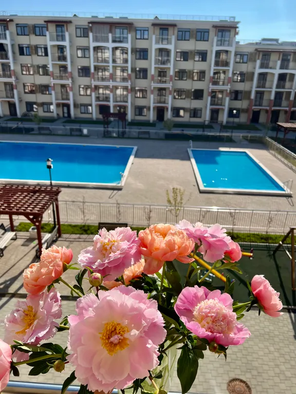 2к квартира с видом на бассейн ЖК «Кипарис»