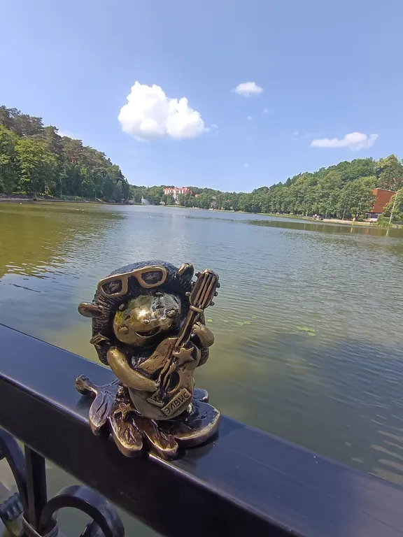 Квартира Уютная квартира — Светлогорск