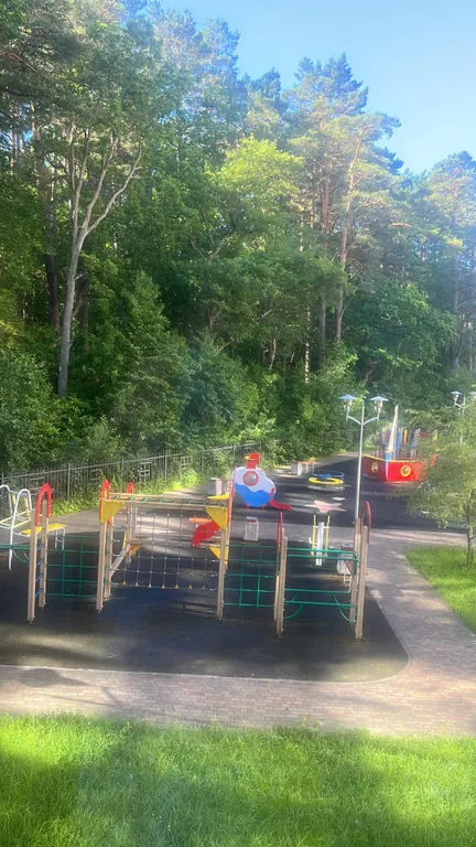 Квартира Уютная квартира в центре города с лесным массивом . — Светлогорск