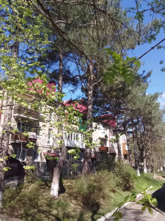 Квартира комфорт