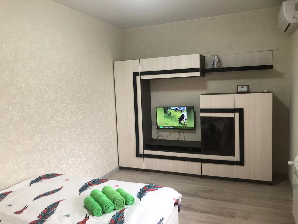 1-комнатная Квартира — аренда посуточно в Пушкино