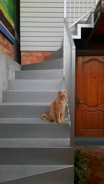 Новая студия в 6 минутах от моря и 3 от парка Поддубного