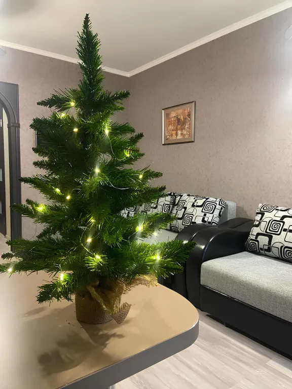 Квартира Апартаменты Тихое озеро — Светлогорск