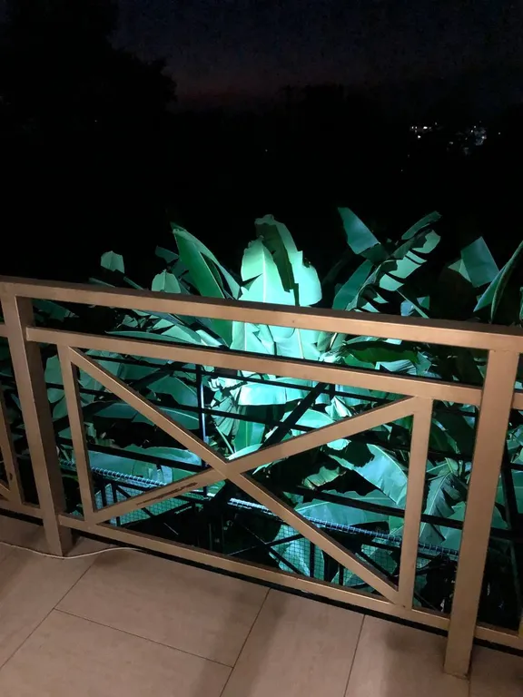 Квартира Квартира в живописном месте напротив Курортного Городка — Адлер