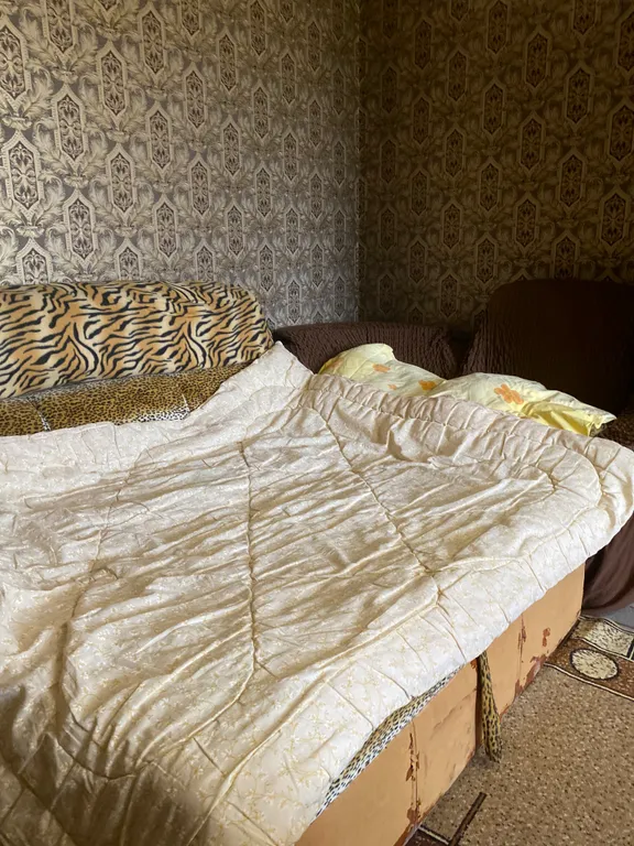 Чистая квартира в центре города